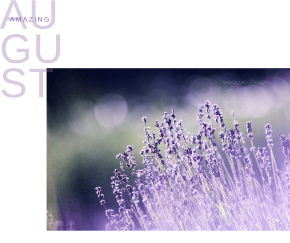 DIANAKOLAWOLE.DESIGN (2).png