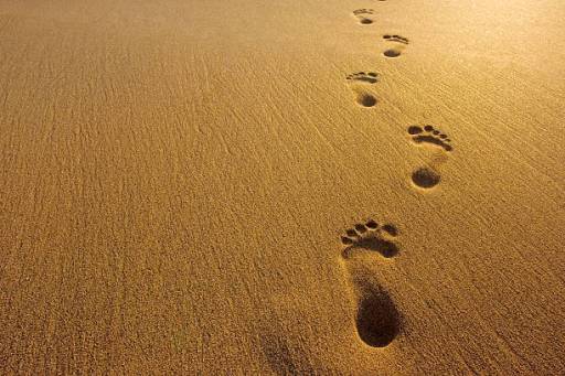 footprint